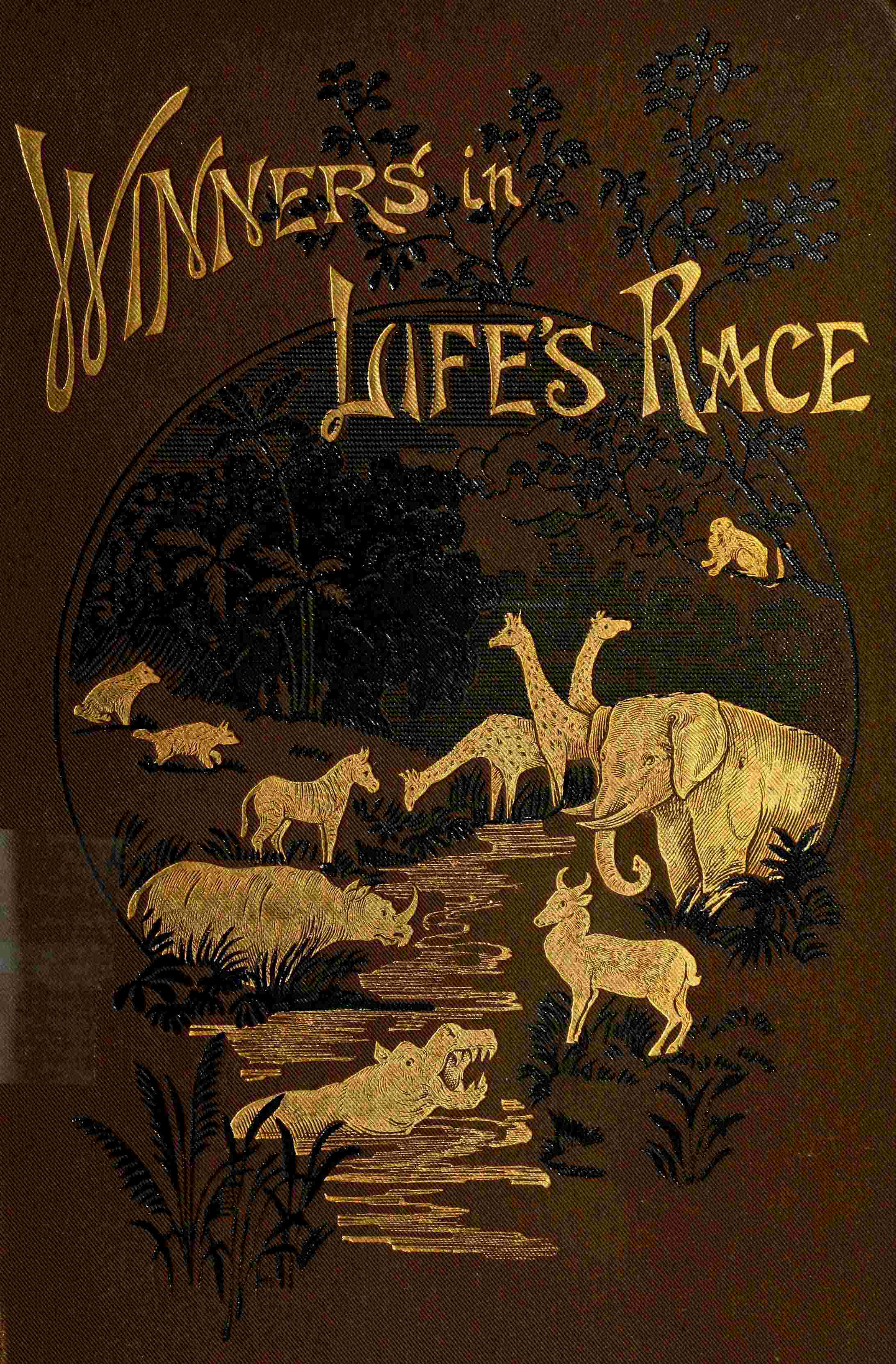 جلد کتاب The winners in life's race