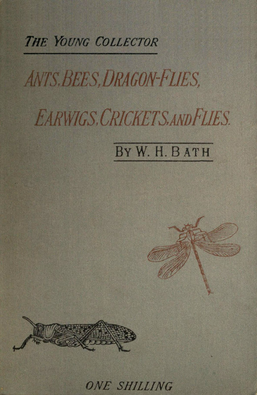 جلد کتاب The Young Collector's Handbook of Ants, Bees, Dragon-flies, Earwigs, Crickets, and Flies