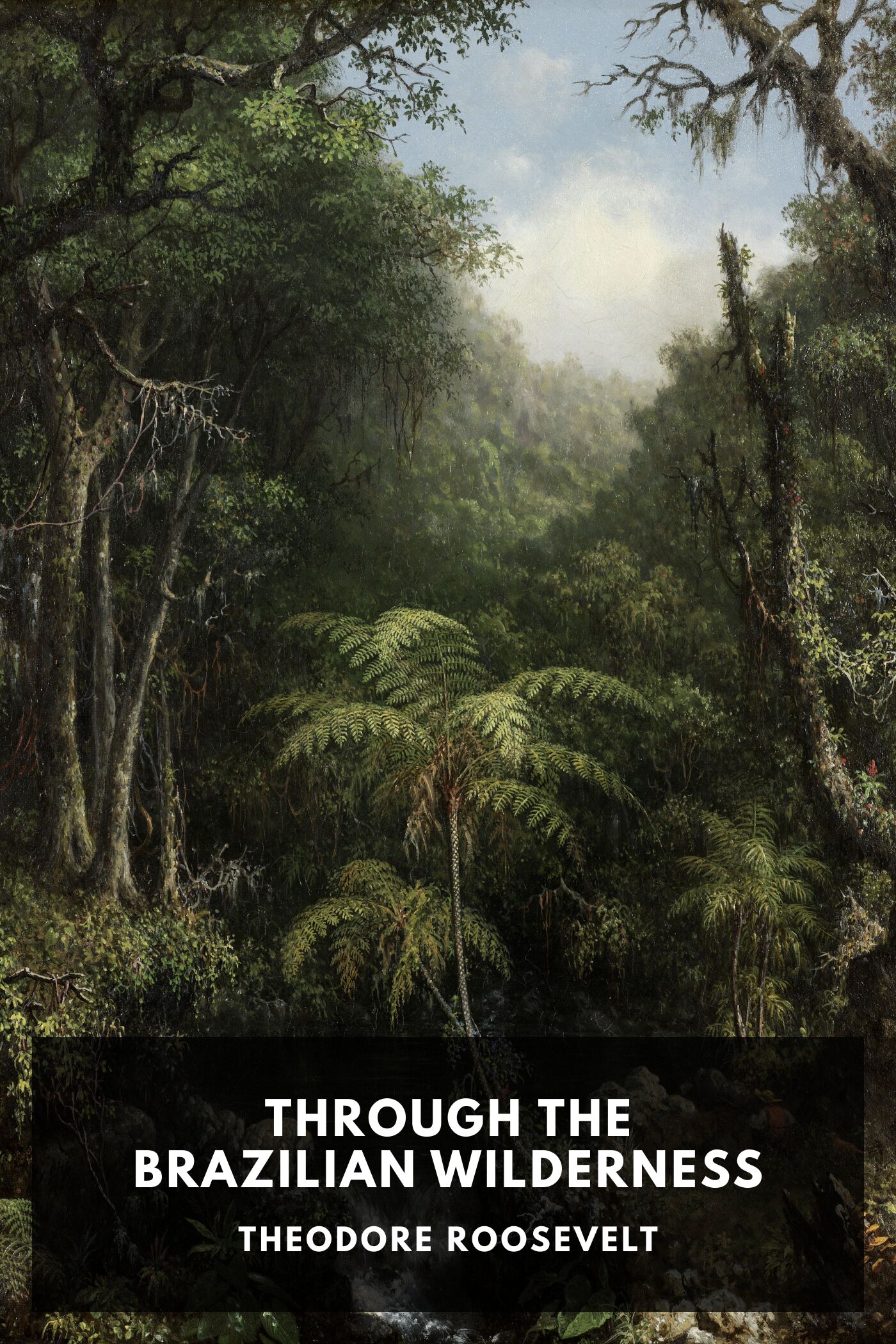 جلد کتاب Through the Brazilian Wilderness