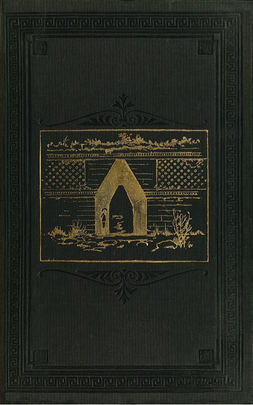 جلد کتاب Travels Amongst American Indians, Their Ancient Earthworks and Temples