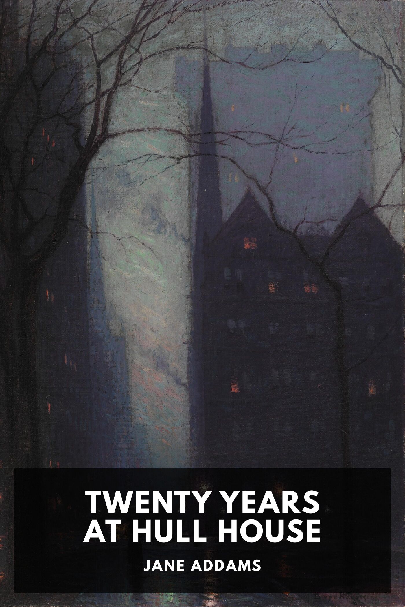 جلد کتاب Twenty Years at Hull House