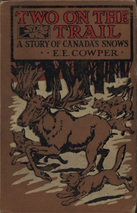 جلد کتاب Two on the Trail: A Story of Canada Snows