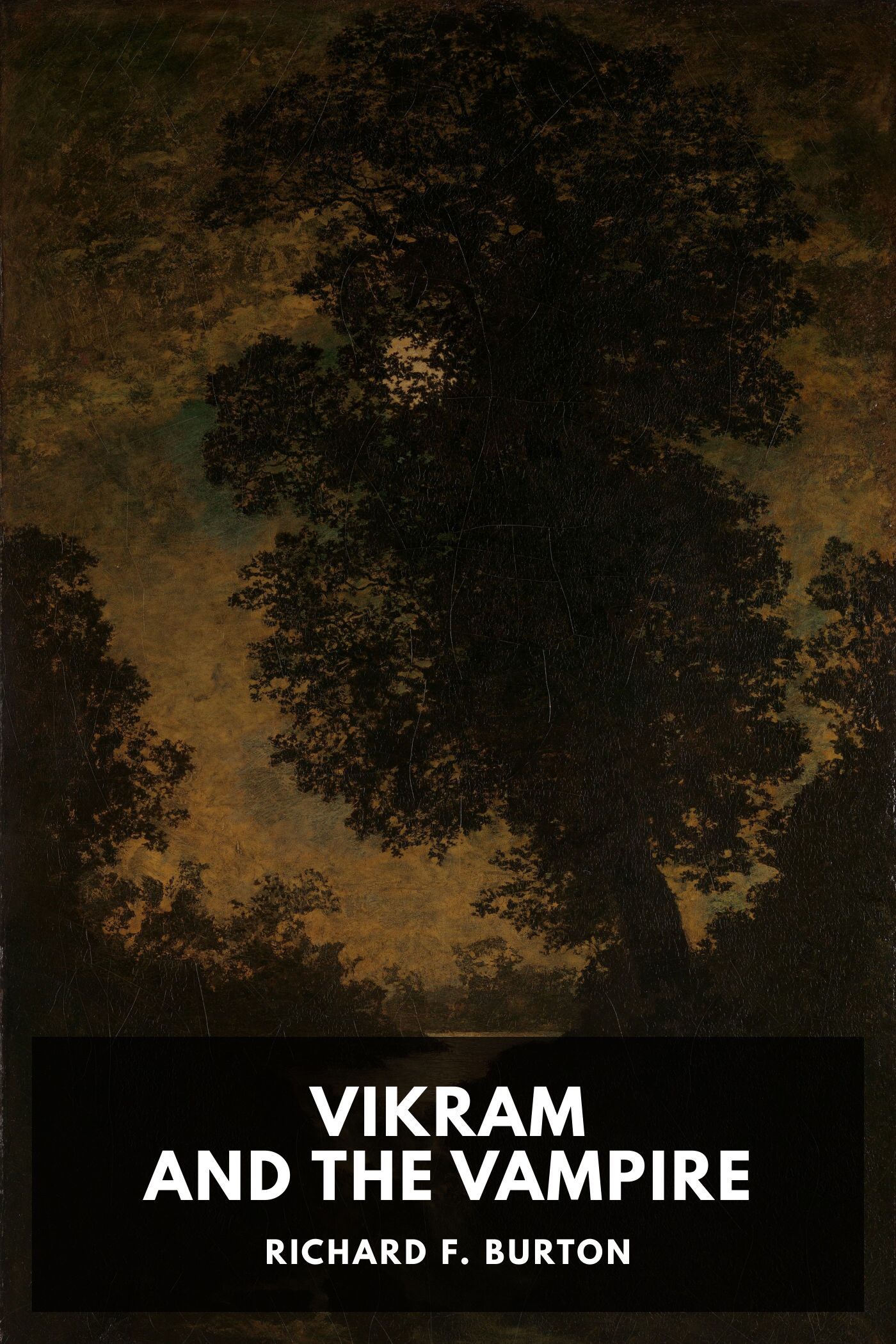 جلد کتاب Vikram and the Vampire