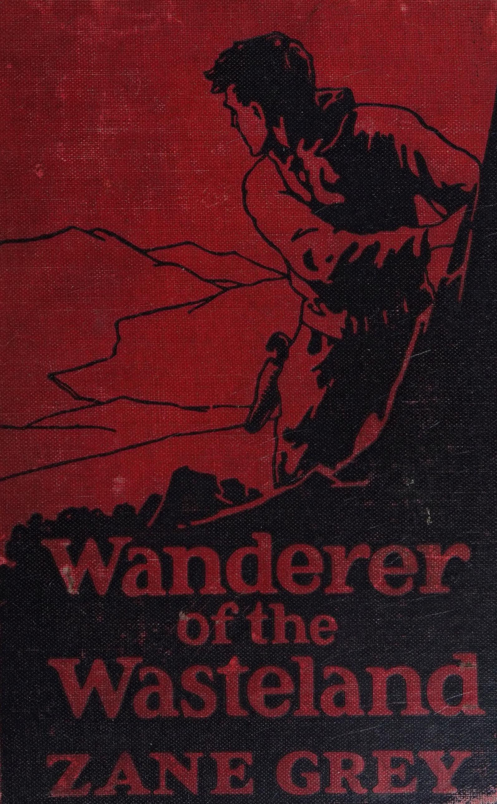 جلد کتاب Wanderer of the Wasteland