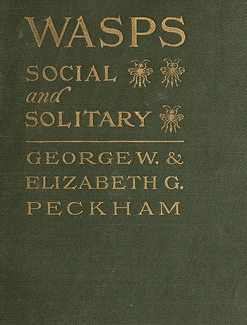جلد کتاب Wasps, Social and Solitary