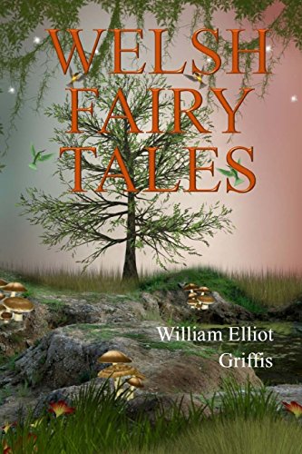 جلد کتاب Welsh Fairy Tales
