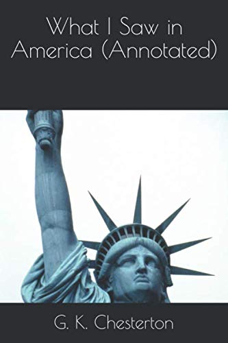 جلد کتاب What I Saw in America
