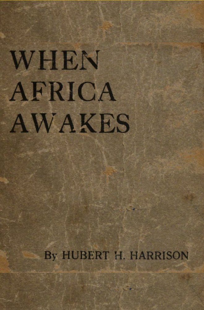 جلد کتاب When Africa awakes