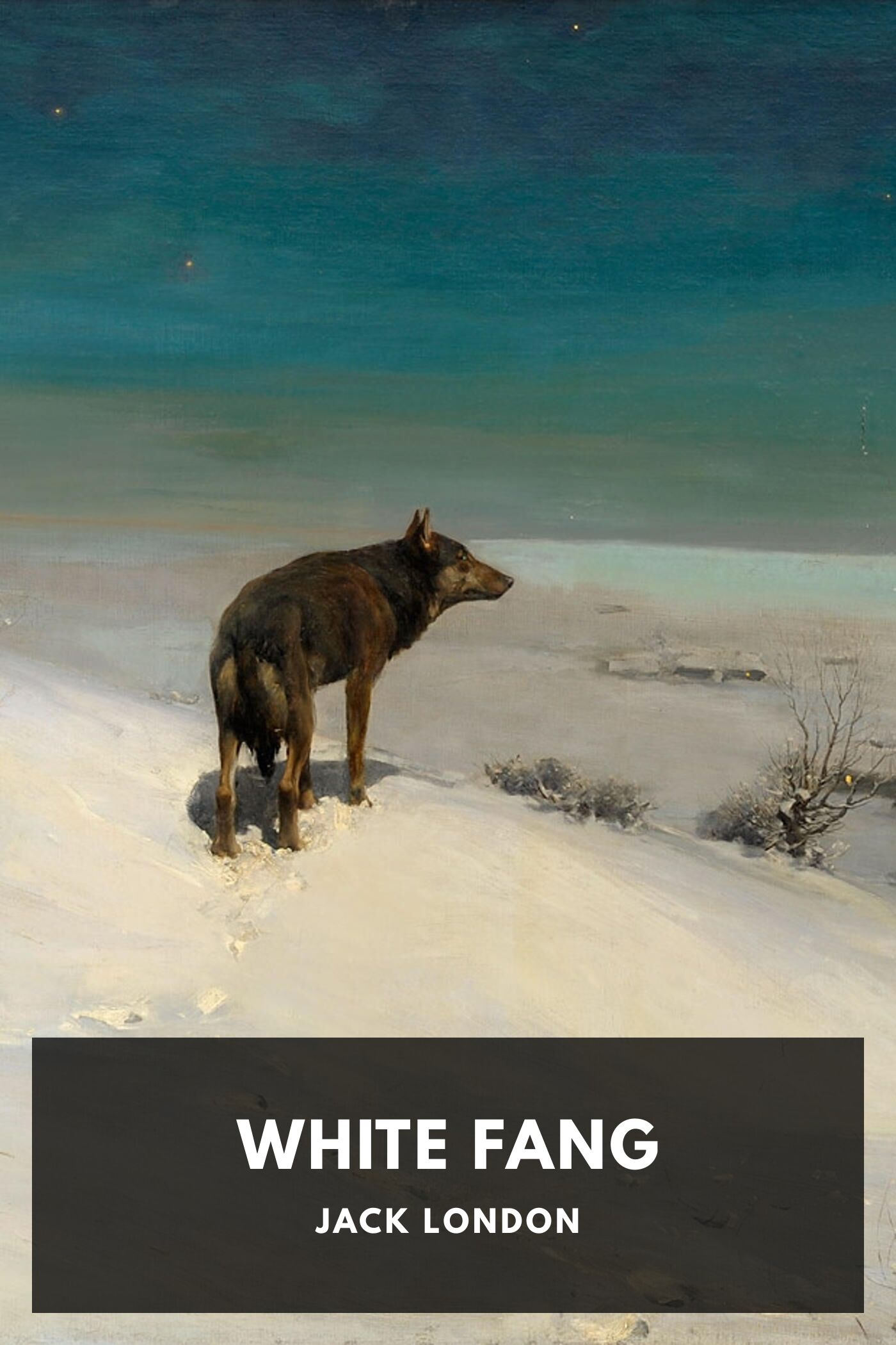 جلد کتاب White Fang