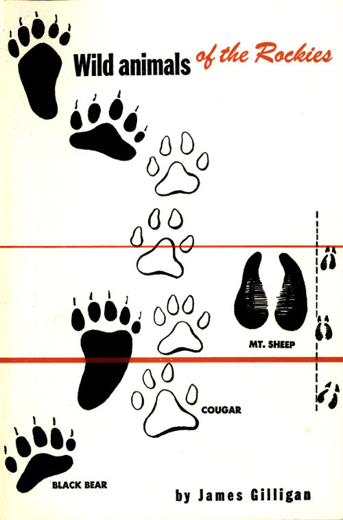 جلد کتاب Wild Animals of the Rockies
