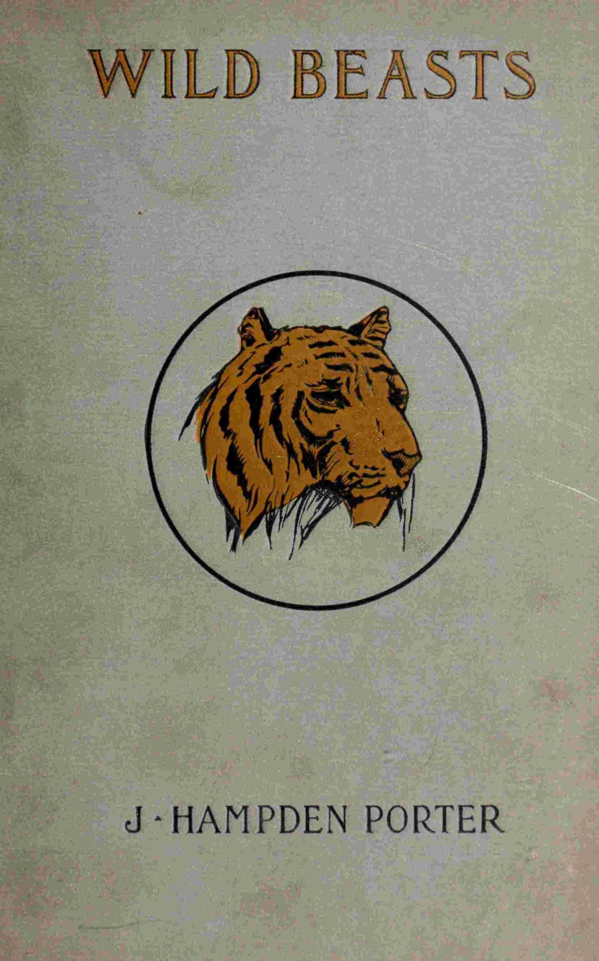 جلد کتاب Wild Beasts