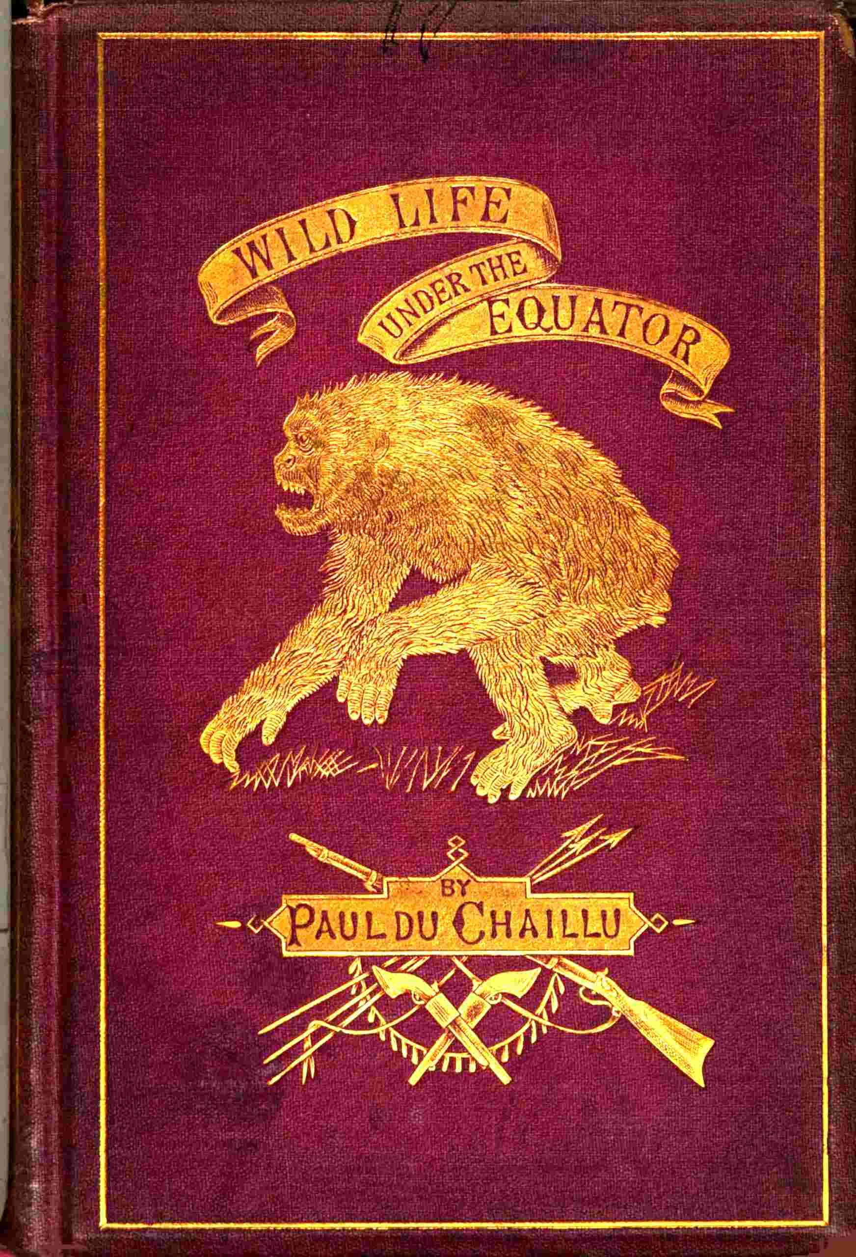 جلد کتاب Wild Life Under the Equator