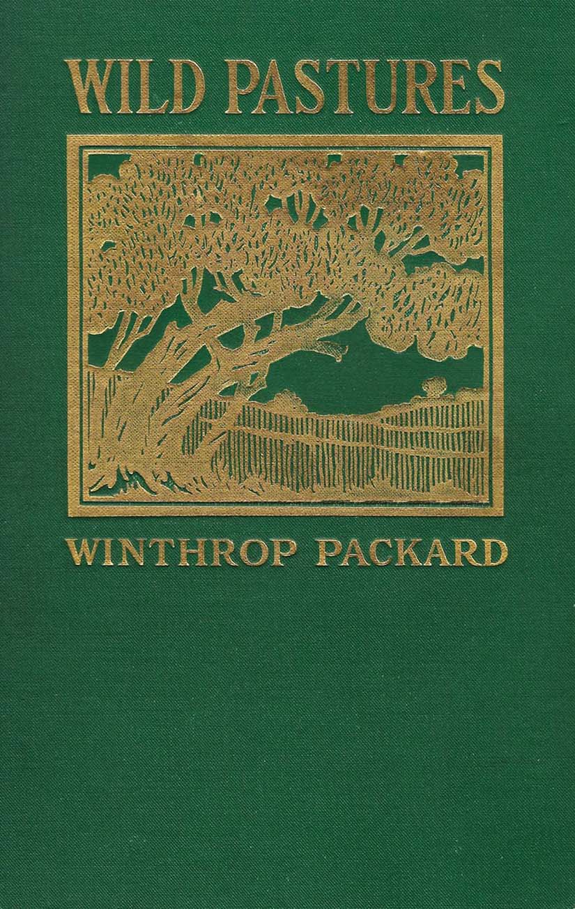 جلد کتاب Wild Pastures