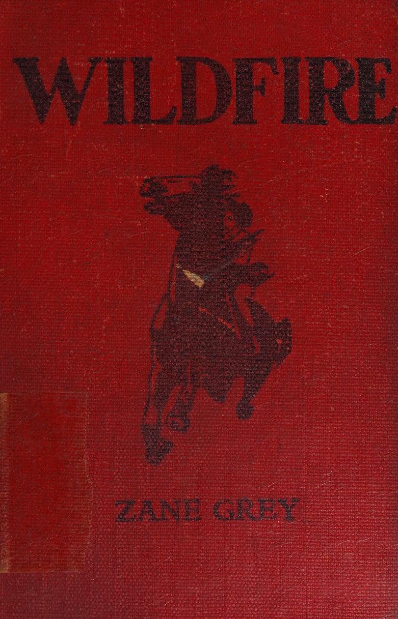 جلد کتاب Wildfire