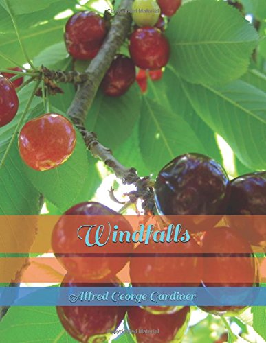 جلد کتاب Windfalls