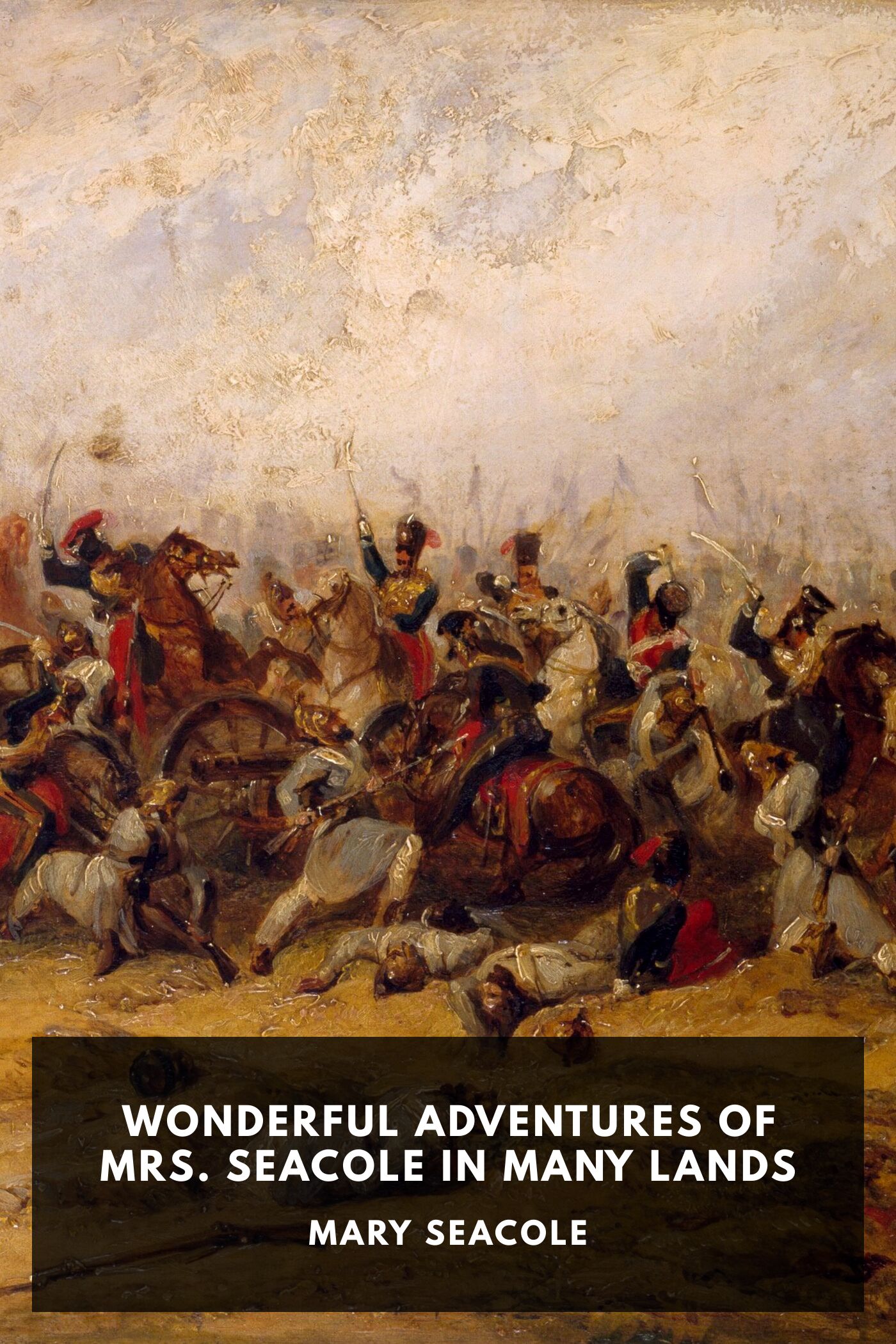 جلد کتاب Wonderful Adventures of Mrs. Seacole in Many Lands