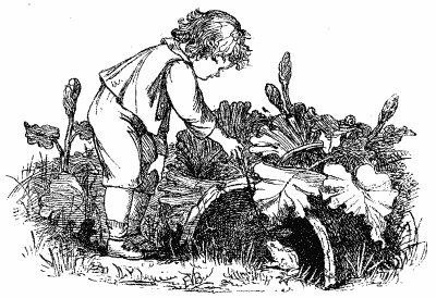 جلد کتاب Wood Magic: A Fable