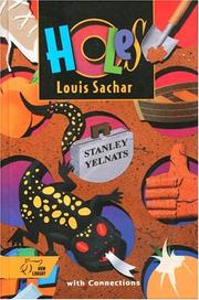 جلد کتاب Holes