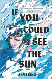 جلد کتاب If You Could See the Sun