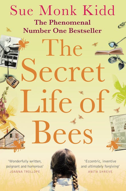 دانلود مستقیم کتاب The Secret Life of Bees
