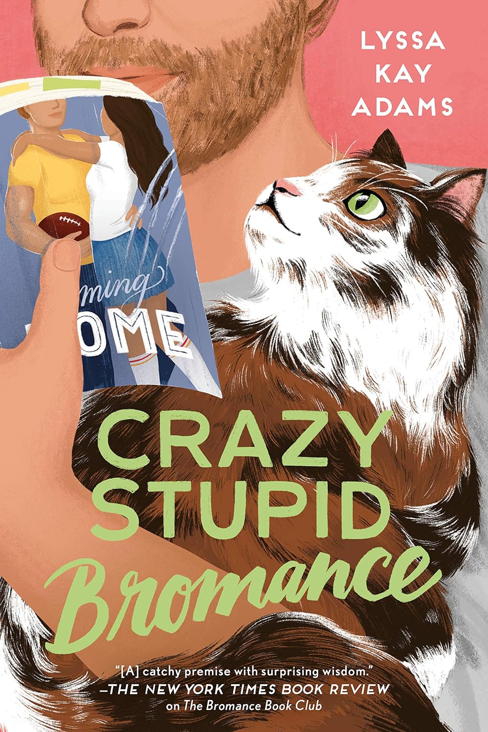 دانلود مستقیم کتاب Crazy Stupid Bromance